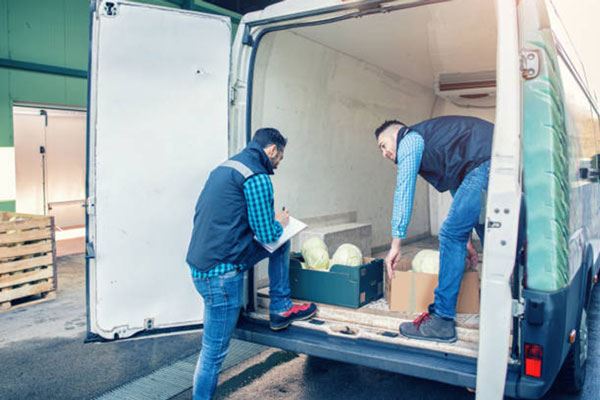 Перевозка замороженных продуктов